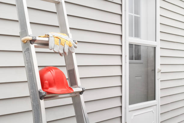 Best Historical Building Siding Restoration  in Lake View, AL