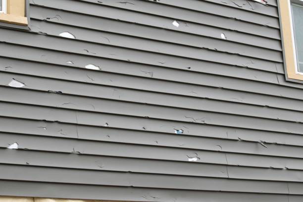 Best Weatherproofing and Sealing  in Lake View, AL