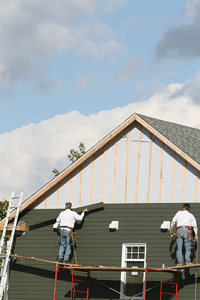 Best Siding Removal and Disposal  in Lake View, AL